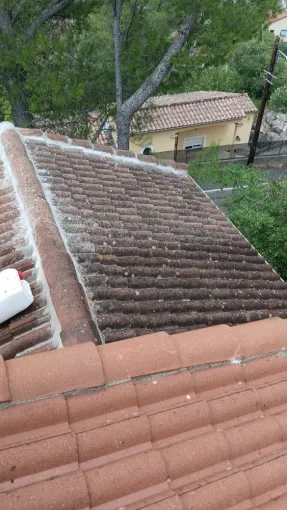 Nettoyage de toiture maison individuelle à Nîmes., Nîmes, DCM Couverture